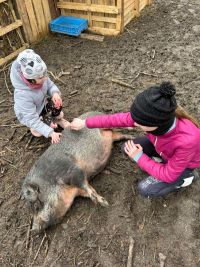 Ve Velvarech otevřeli komunitní zahradu