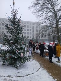 Nemocnice zve právě teď na zdobení stromku, koledy a cukroví