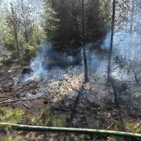 V sobotu hořel les u Kamenných Žehrovic