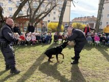 Psovodi v kladenské mateřince. Rotvajler Matýsek půjde do důchodu