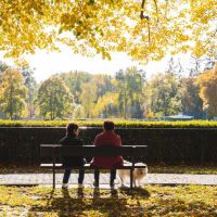 Krásné podzimní dny lákají na výlety. Na Kladně se vydejte na barevnou procházku na Sletiště, láká radnice