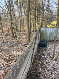 Les u Kožovky: bezdomovec nyní hromadí nepořádek u badmintonu