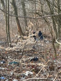 Les u Kožovky: bezdomovec nyní hromadí nepořádek u badmintonu