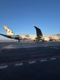 Na Ruzyni létalo letadlo Etihad se superhrdiny