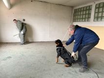 Ve Slaném se cvičili psovodi