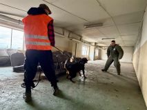 Ve Slaném se cvičili psovodi