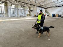 Ve Slaném se cvičili psovodi