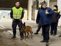 Ve Slaném se cvičili psovodi