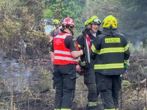 Požár lesa zaměstnal 19 jednotek