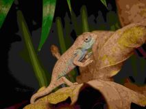 V Zooparku Zájezd se podařil odchov chameleonů bradavičnatých