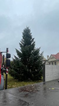 Ve Smečně už stojí vánoční strom