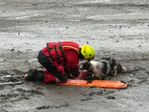 Kladenští hasiči zachraňovali nebohého psa z bahna