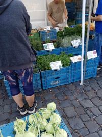 Středeční farmářské trhy opět nabízejí spoustu dobrot