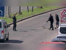 Strážníci zachránili kachní rodinku před masakrem. Převedli je přes Štěchovu