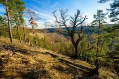 Ve čtvrtek se bude v Lánské oboře střílet. Zákaz vstupu