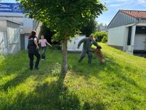 Služební psi Capo a Matýsek potěšili děti na Dnu dětí