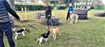 O hřiště pro psy ve Slaném je velký zájem z řad majitelů čtyřnohých miláčků
