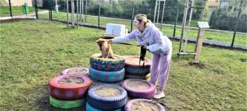 O hřiště pro psy ve Slaném je velký zájem z řad majitelů čtyřnohých miláčků
