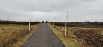 Obrazem: Lidé ve Velvarech vysadili novou alej, čítající 150 stromů