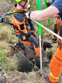 V Hřebči spadl pes do studny