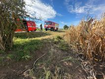 U Říčan zachraňovali hasiči nastartované auto z kukuřice. Řidič byl v bezvědomí