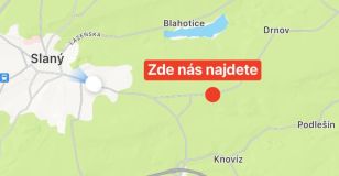 Dnes začíná samosběr meruněk. Kam vyrazit?