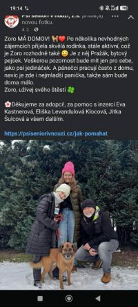 Hledá se Rudolf. Psa jeho majiteli měl hlídat útulek Bouchalka, ten ho mezitím dal do adopce