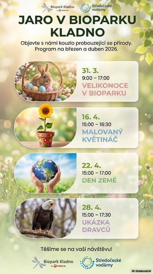 265978 05 1251773 eeff4