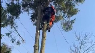 V Makotřasech se na stromě zranil muž elektrick&yacute;m proudem