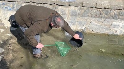 Kročehlavský rybník ožívá. Vypustili do něj hrouzky