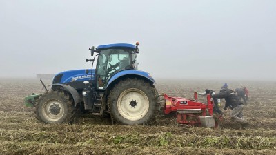 Křen bude! V Hostíně už ho začínají sklízet