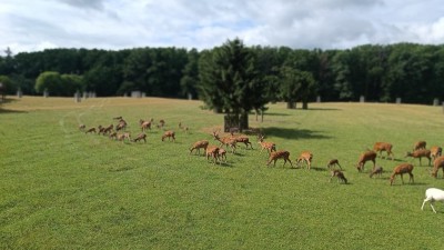 V&yacute;stava shozů v L&aacute;nech bude letos dvoudenn&iacute;