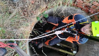 V Hřebči spadl pes do studny