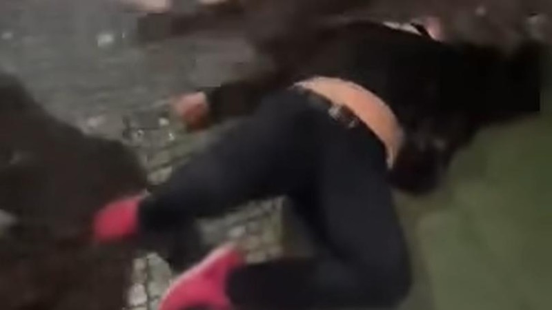 Policie k hromadné rvačce ve Slaném. Zasahovalo zde několik jednotek