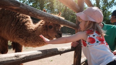 V Zooparku Zájezd bude den vyhrazený mláďatům, zejména těm lidským