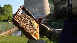 Včelaři v kladenské teplárně vyhlížejí první med