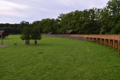 Poslední možnost navštívit lánskou obůrku v tomto roce