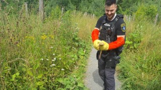 Kladenští strážníci odchytávali exotického ještěra