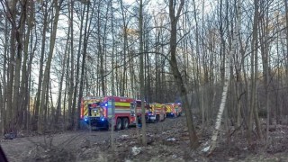 V lese na Kožovce opět hořelo