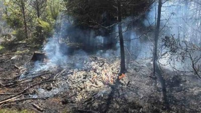 V sobotu hořel les u Kamenn&yacute;ch Žehrovic