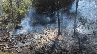 V sobotu hořel les u Kamenn&yacute;ch Žehrovic