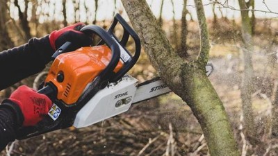 Na Sítné se bude kácet