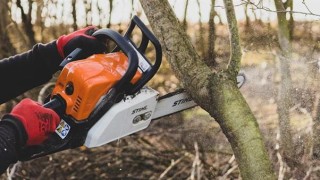 Na Sítné se bude kácet