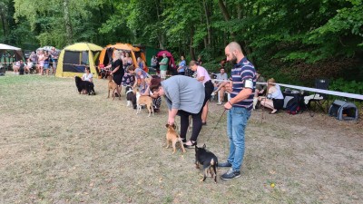 Slánské letní kino se stalo dějištěm Krajské výstavy psů