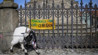 Na Kladně proběhne happening za svobodnou kulturu