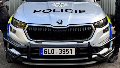 V Le&scaron;anech u Nelahozevsi se pr&aacute;vě p&aacute;tr&aacute; po naru&scaron;itel&iacute;ch