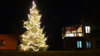 Dětské centrum v Kladně rozzářil vánoční strom 