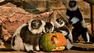 foto zdroj Zoopark Zájezd