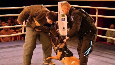 Osiřelé chlapce z Rakovníka při akci Boxeři dětem podpoří i Městská policie Kladno