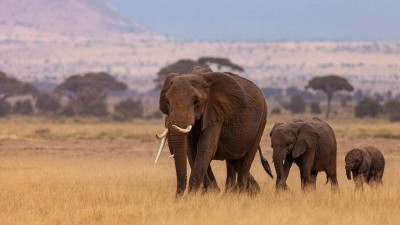 Navštivte zoo a nahlédněte do Afriky